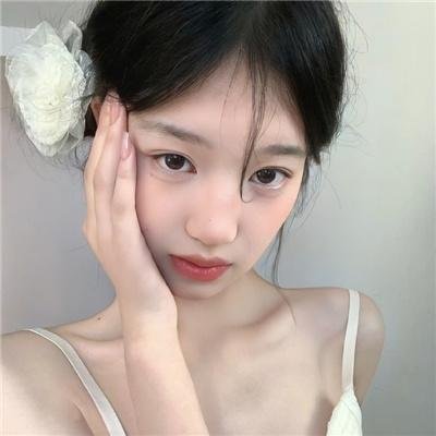 白鹭谣